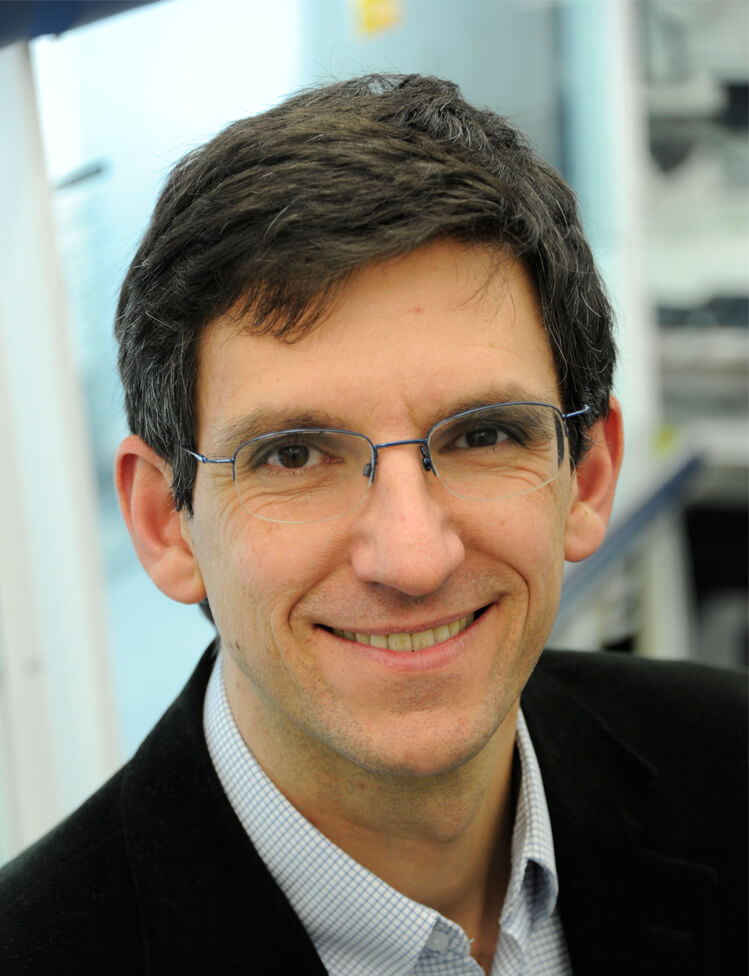 Ludovic Vallier, PhD